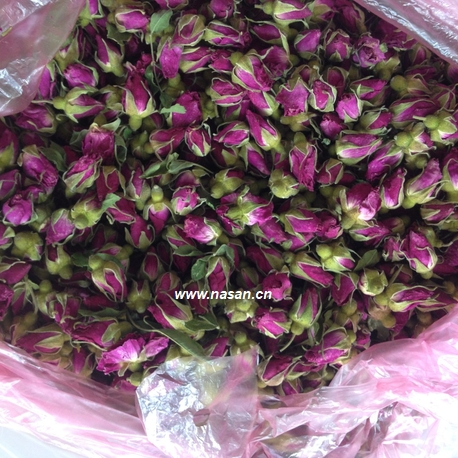 7 Essential Insights into Industrial Flower Dryers: Machines, Prices, and Manufacturers